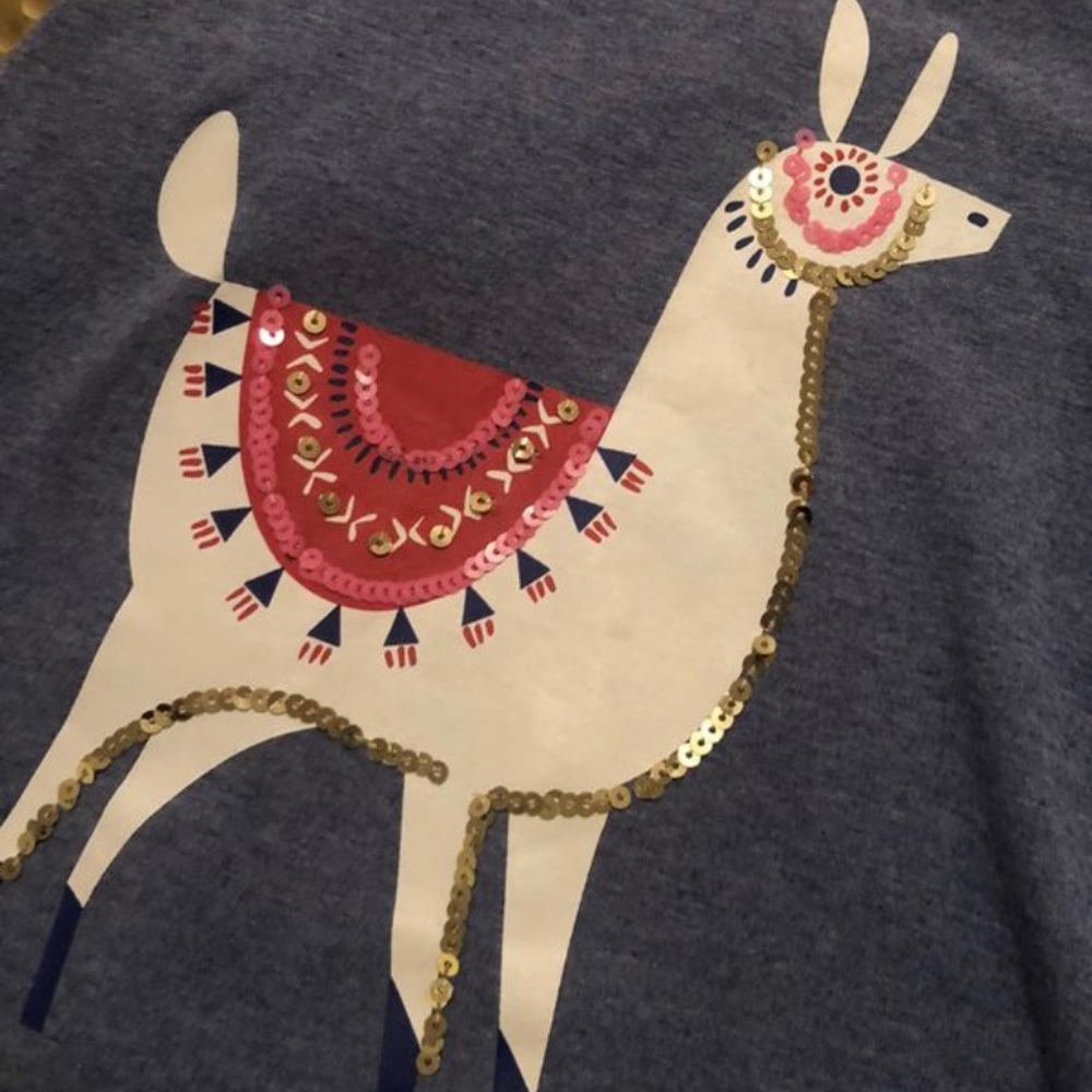 FANCY LLAMA
